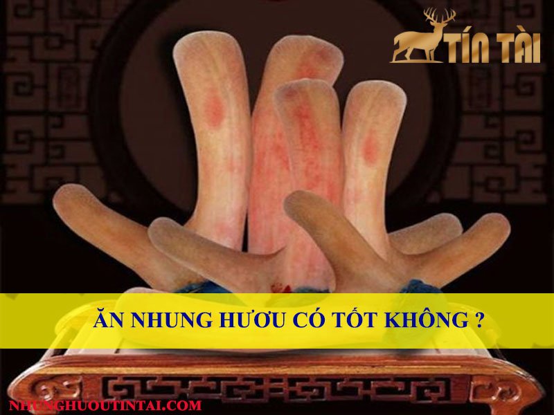 an-nhung-huou-co-tot-khong