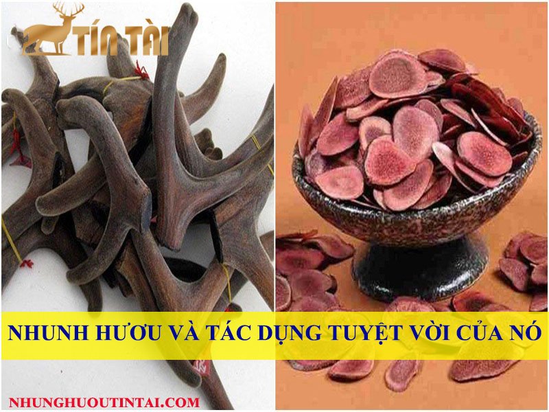 nhung-huou-va-tac-dung-cua-no